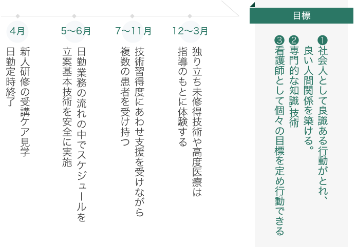 新人教育のステップアップ